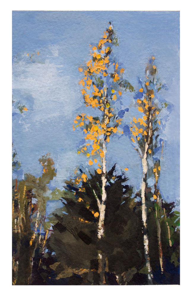 Gouache painting of Silver Birch Trees by Helen Davison