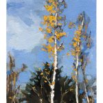 Gouache painting of Silver Birch Trees by Helen Davison