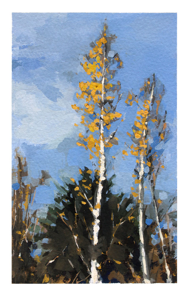 Gouache painting of Silver Birch Trees by Helen Davison